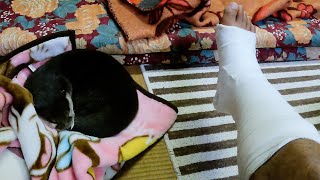 Otterman right ankle fracture. What happened that day? And Aty is...? [Otter life Day 365]