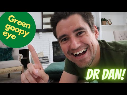 कुत्तों और बिल्लियों में हरे रंग की गोपी आई डिस्चार्ज!