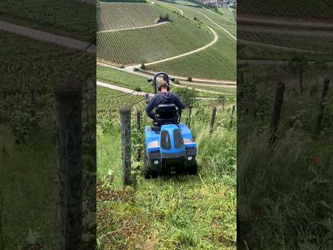 Weed Control in