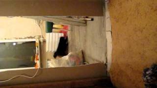 MVI_8367.avi