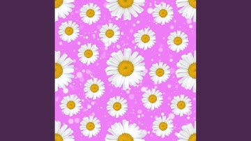 Vivacious Backdrops for Slow Down Vibes