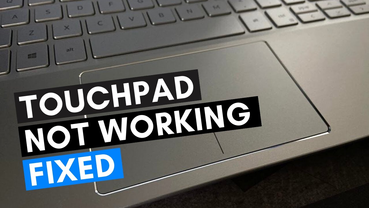 Hp Touchpad Driver Update Windows 10 at Robert Matteo blog