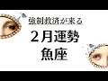 いやーこれはもう本当に凄いことだから。目が合った魚座だけ観てください。2026年2月全体運勢💘仕事恋愛評価や印象💘個人鑑定級タロットヒーリング Tarot & Oracle