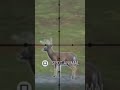 "Special delivery" to da whitetail deer 🔫🦌 #hunting #gaming #greatonegrind #cotw