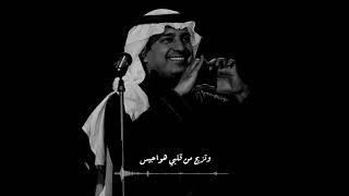 روز باريس/الروح تحيا به والانفاس/ راشد الماجد تصميم ❤.