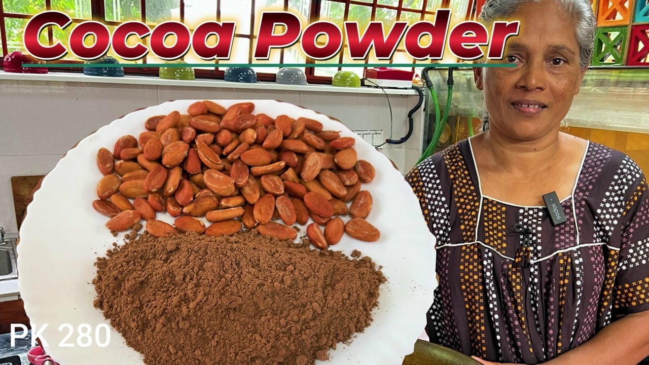 Homemade Cocoa Powder | Cocoa Powder making Process | Easiest way of ...