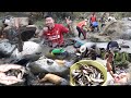 How to catch Fish | Fishing at Viswema| Kohima| Nagaland