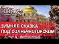 Зимняя сказка в получасе от Москвы. Где это в Подмосковье?