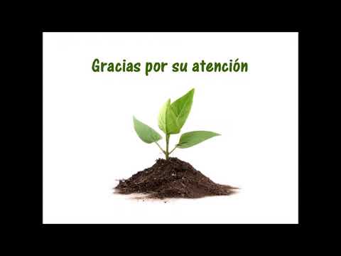 Estructura quimica y efecto fitofármacos