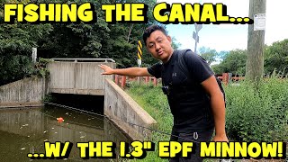 Fishing w/ the NEWLY RELEASED EuroTackle 1.3