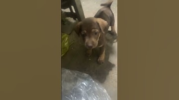 #yeulu #shorts #shortvideo