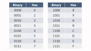 Celebrity Positional Notation and Hexadecimal Notation Wealth