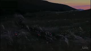 Lullaby of my soul - Enzalla ( Music heals everything ) 🎵🎵🎵