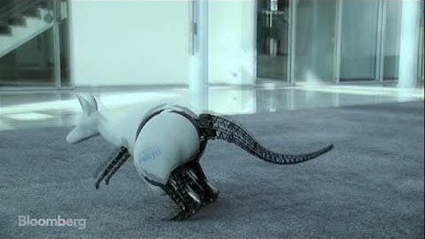 Meet the Jumping, Bionic Kangaroo Robot
