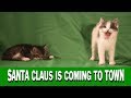 Santa Claus is Coming to Town - Ultra HD - CATS CHRISTMAS JINGLE