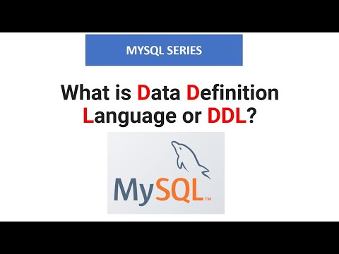 What is Data