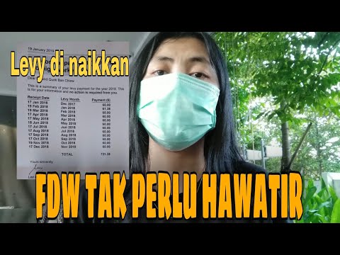 Video: Apa itu leevy?