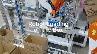 Articulated Robot Case Packer System (Case of Detergent 2)
