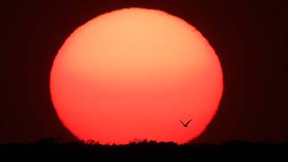 Outer space Does Not Exist in Reality, its Impossible
