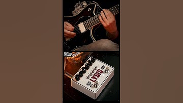 a CRUSHING Fuzz Device Unlike Anything Else  @sgfxdiamond Lysis II #fuzzpedal #thepedalzone #guitar