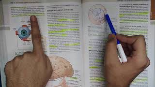 Jaldi Jaldi Guyton Chapter 52