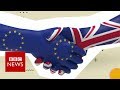 Brexit : What is the backstop? - BBC News