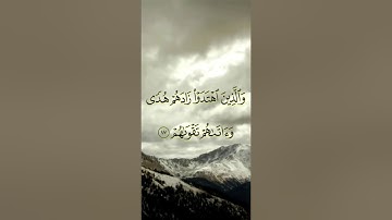 سورة محمد مكتوبة للقارى مشاري العفاسي