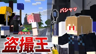 こっそり写真を撮れるかな！？盗撮ゲーム【マインクラフト】 screenshot 4