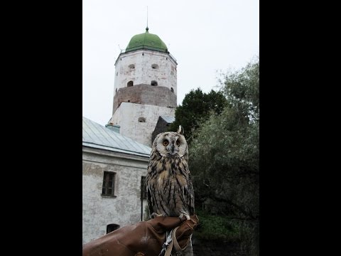 Video: Jak Se Dostat Do Vyborgu