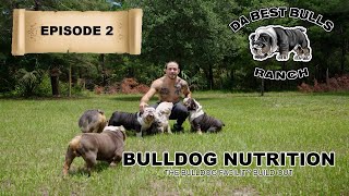 DaBestBulls Ranch - Episodes 2 - Dog Nutrition and the Facility Build out by DaBestBulls Ranch 6,353 views 1 year ago 12 minutes, 14 seconds