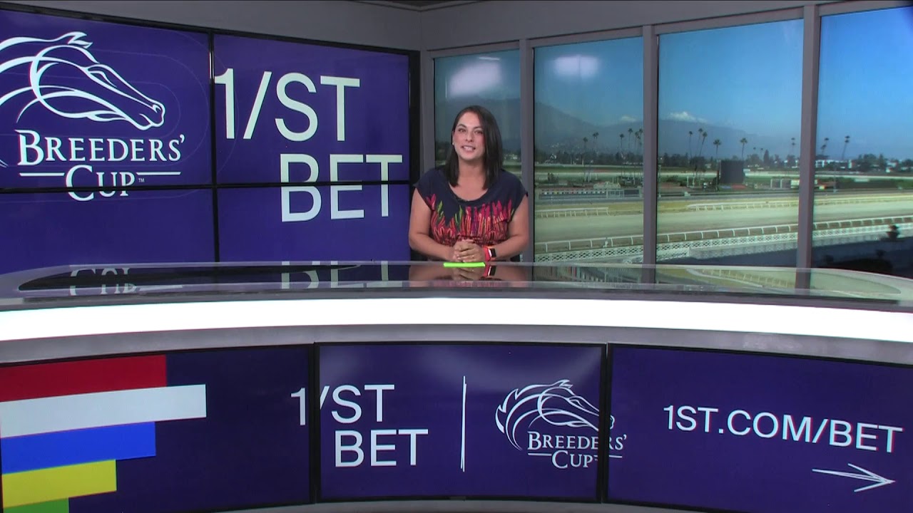 Side by side bullet works of Tiz the Law running in the Breeders' Cup Classic on November 7th.