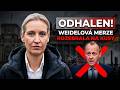 Weidelová rozebrala Merze na kusy: co mu vytkla před kamerami?