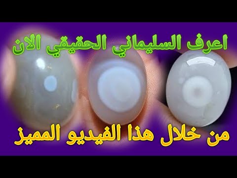 السليماني المفضل وكيف يخدعون الناس في الكثير من انواع السليماني المقلد مثل الهندي والصناعي ايضا