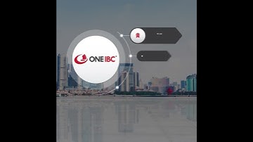 ONE IBC || INTRODUCTION (1:1 version) #oneibc #offshorecompany #business