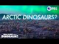 Dinosaur Migration and Cooperation Quiz