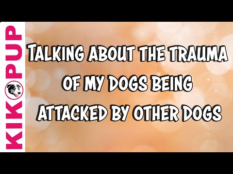 Video: Může být pes po napadení traumatizován?