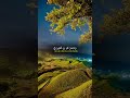 Sheikh Yasser AL Dosari ❤️🩹 #viralvideo #viral #viralquranshorts #foryou #youtubeshorts #quran