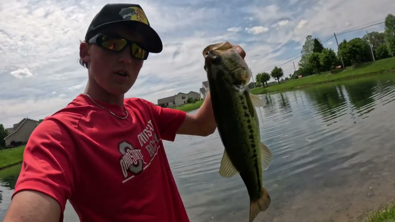 Bass fishing at my Local Pond with small lures!