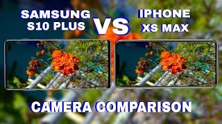 Samsung Galaxy S10 Plus VS iPhone XS Max camera test