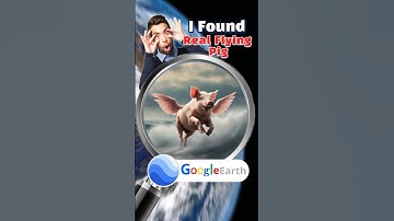 😨 Real Flying Pig on Google Earth 🌎