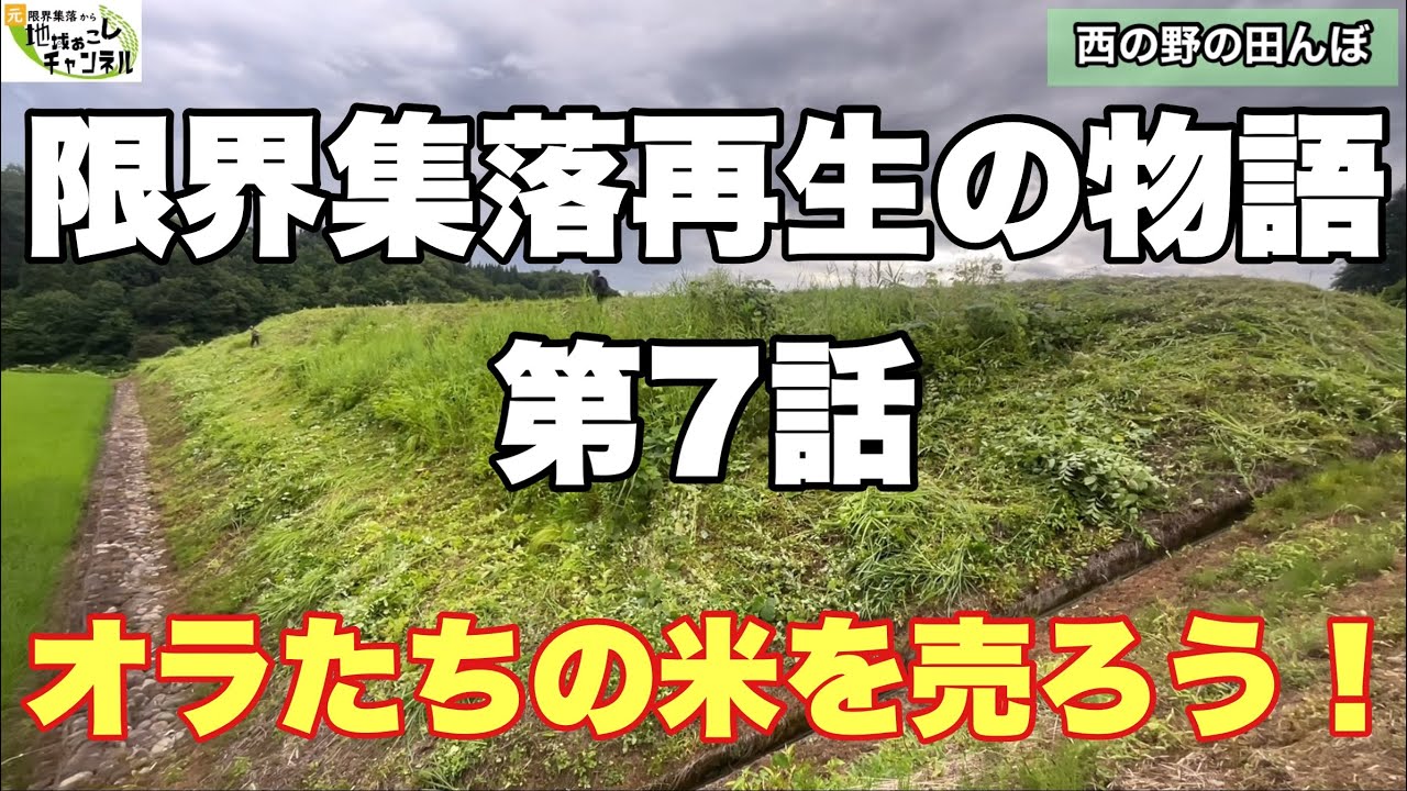 実践的ボランティア論 ボランティア実践とＮＰＯ法人の実際/小林出版/西島衛治（単行本） ボランティア活動論 (最新・はじめて学ぶ社会福祉) | 杉本敏夫