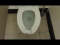 Islip Town Hall Women's Restroom Full Shoot Islip Town Hall Women's Restroom Full Shoot