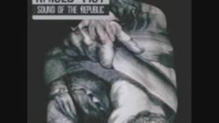 Raised Fist - And then they run