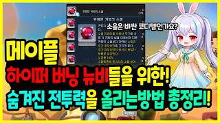[메이플] 하이퍼 버닝🌸 뉴비들을 위한! 고인물들이☃️ 알려주지 않는! 숨겨져있는 전투력 📈올리는 법 총정리하기!🚀