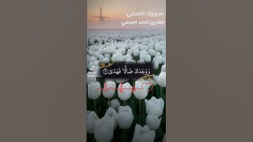 سورة|الضحى|#قرآن #احمد_العجمي #اسلام_صبحي #تلاوات