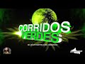 CORRIDOS VERDES 2021 - DJ JUAN CASTILLO [EL ORIGINAL]