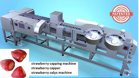 machine équeuter etêter fraises, strawberry capper, calyx remover, depicciolatrice fragole SEDITEC