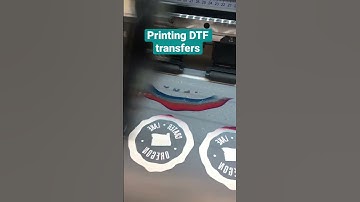 DTF Transfer Printing #dtf #directtofilm #DirectToFilmTransfers #dtfprinting #heatpressbusiness #dtf