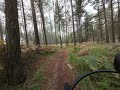 DJI Action 2 4K 60fps sample footage