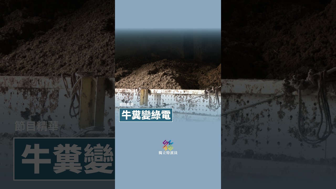 特派員精華|牛糞變綠電,酪農廢棄物有新解|公視 #獨立特派員 #Shorts 縮圖